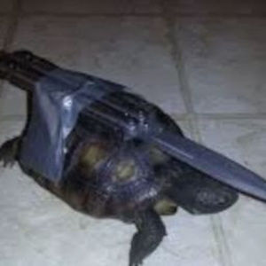 Meet your Posher, Patryk